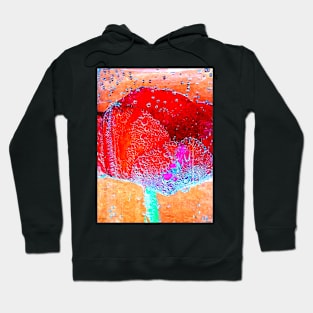 Tulip in Water Hoodie